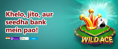 VIP Loyalty Program promotion